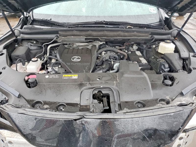 2024 LEXUS RX 350 PREMIUM 12