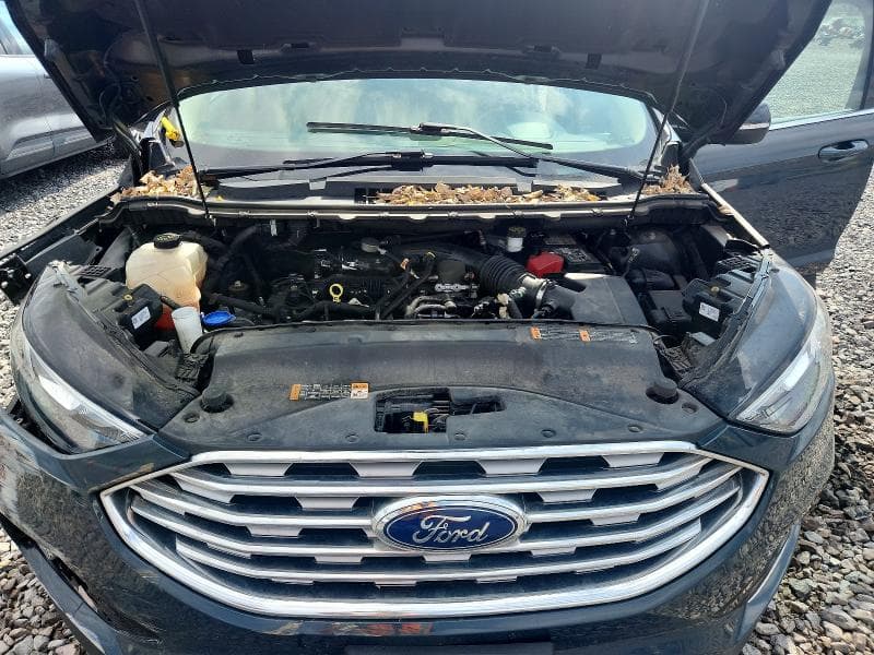 2019 FORD EDGE SEL 10