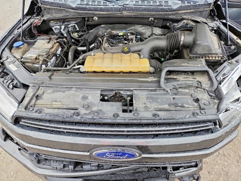 2019 FORD F150 SUPERCREW 11