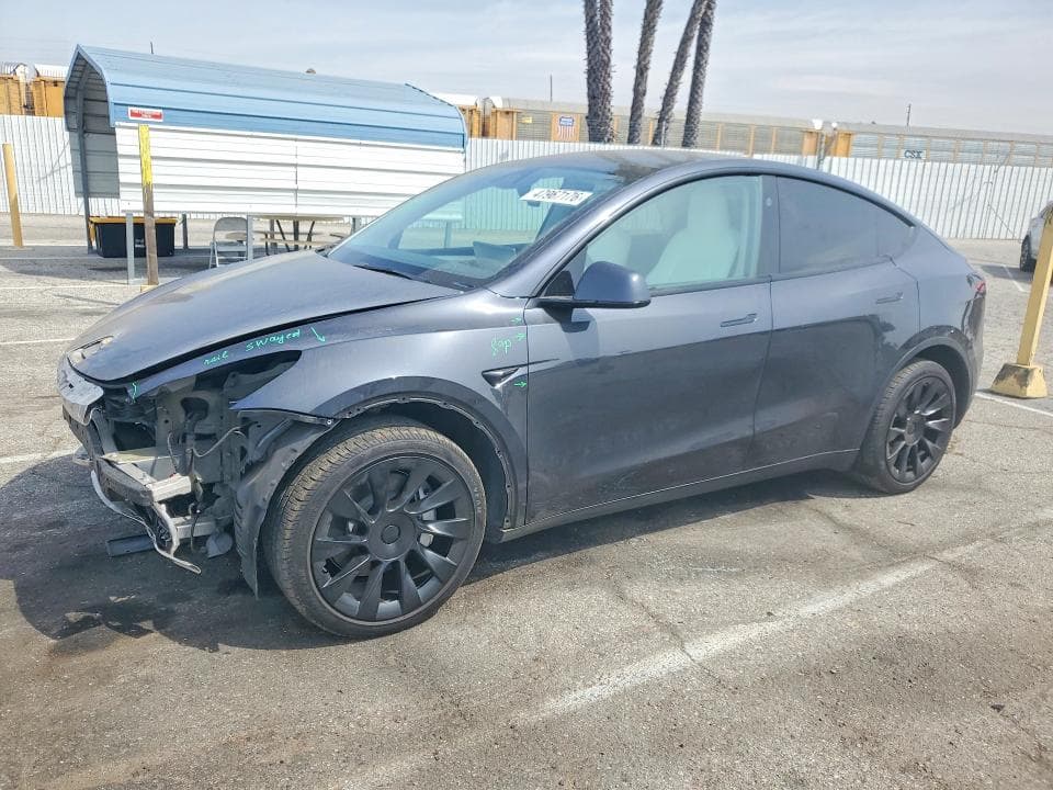 2024 TESLA MODEL Y - 1