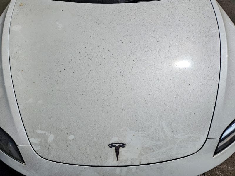 2024 TESLA MODEL 3 11