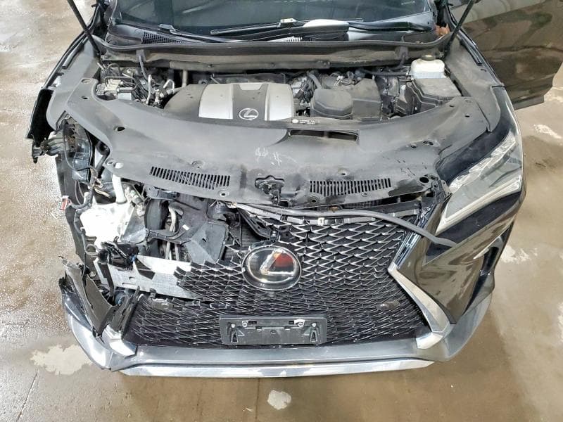 2019 LEXUS RX 350 F SPORT 12