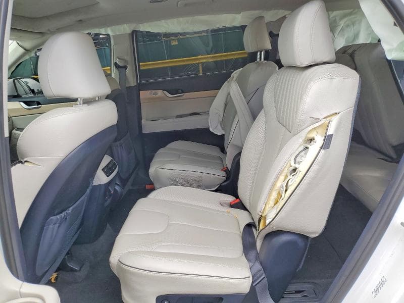 2024 HYUNDAI PALISADE LIMITED 10