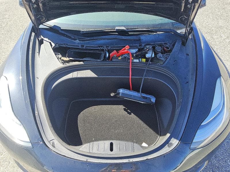 2019 TESLA MODEL 3 11