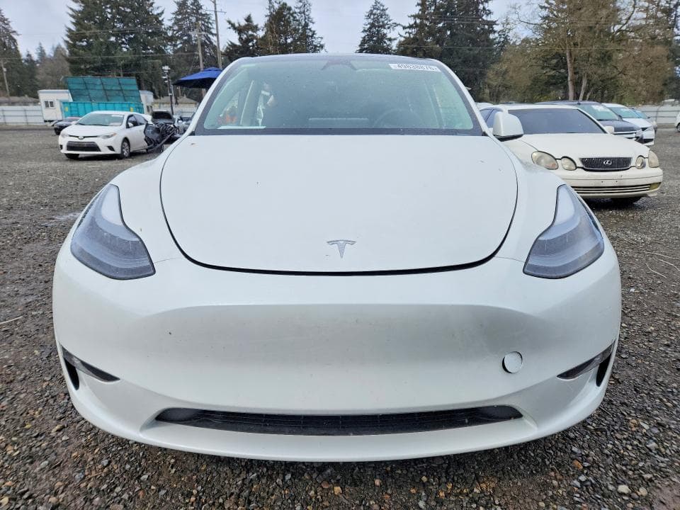 2024 TESLA MODEL Y 5