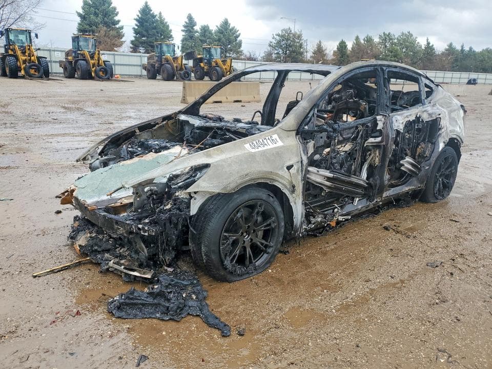 2024 TESLA MODEL Y - 1