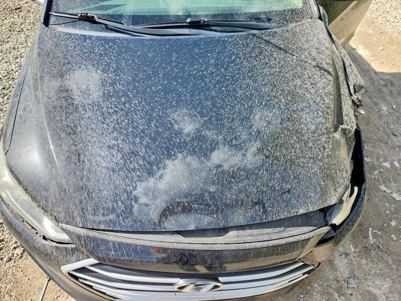 2017 HYUNDAI ELANTRA SE 11
