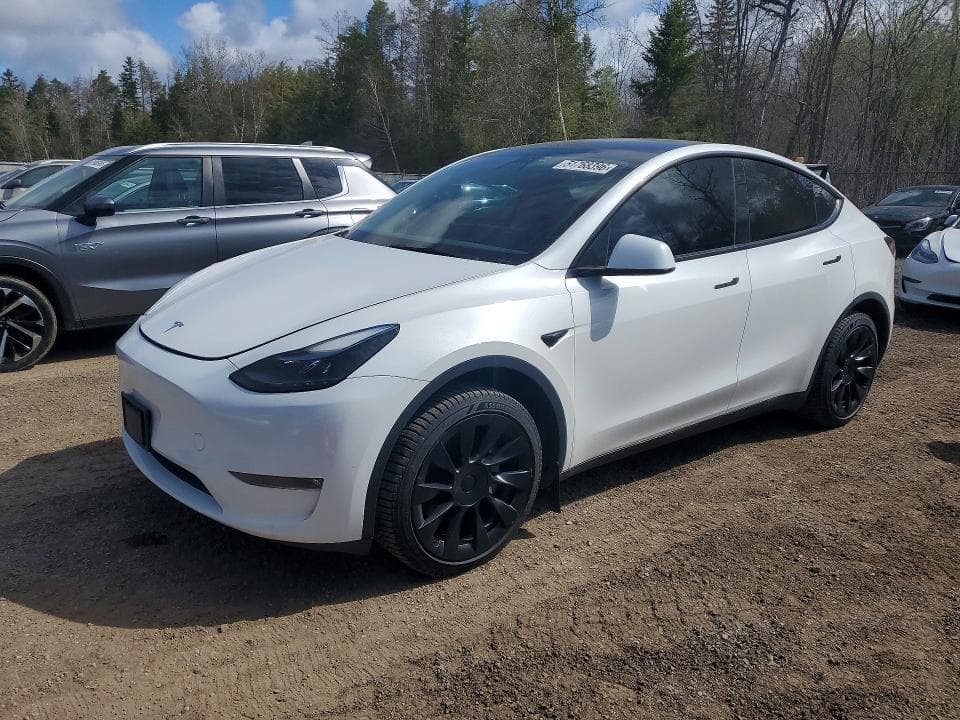 2023 TESLA MODEL Y - 1