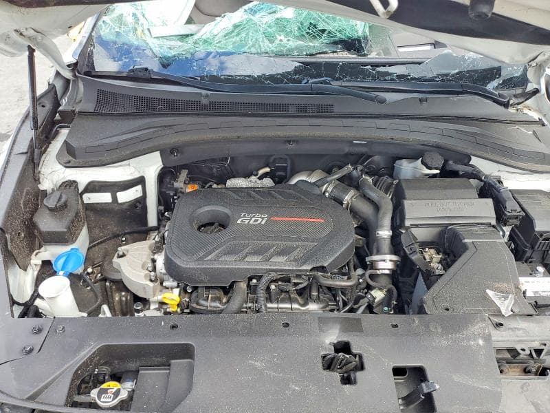 2019 HYUNDAI SANTA FE ULTIMATE 2.0T 12