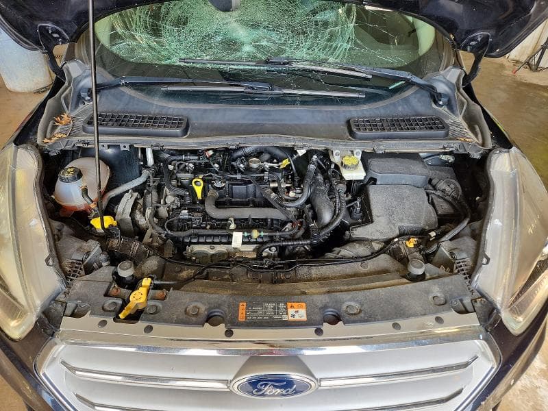 2019 FORD ESCAPE SEL 11