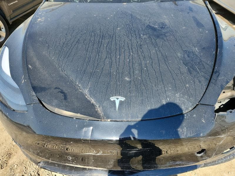 2023 TESLA MODEL Y 11