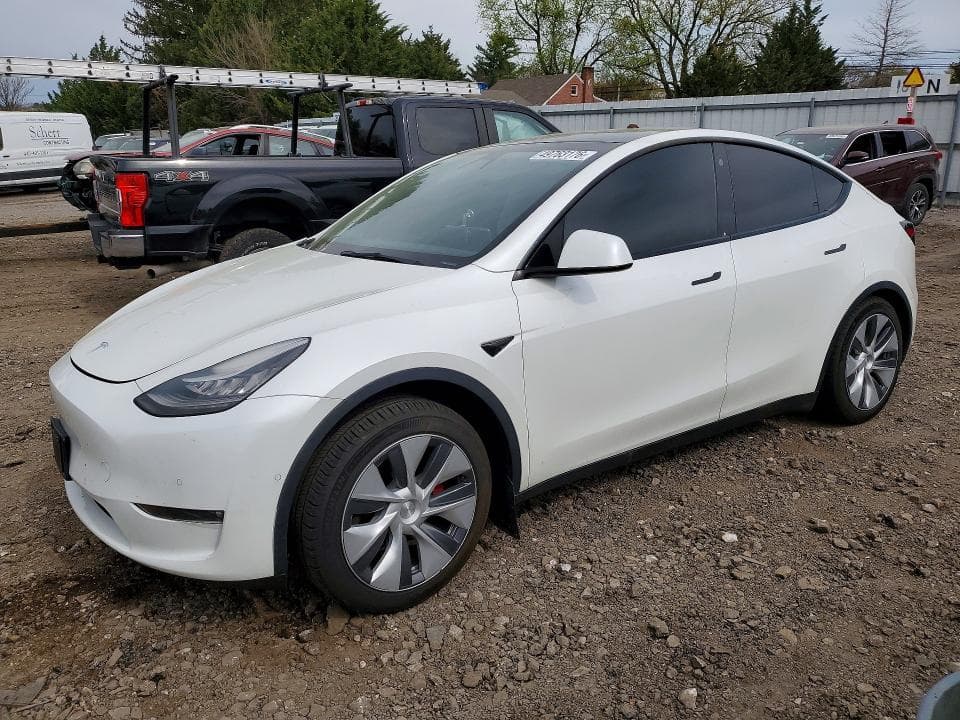 2021 TESLA MODEL Y - 1