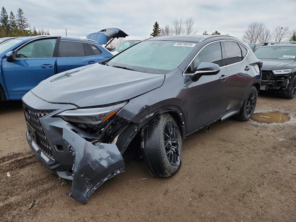 2025 LEXUS NX 350H PREMIUM - 1