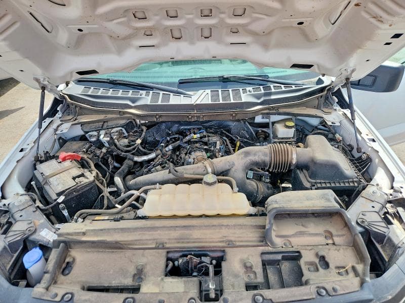 2024 FORD F150 XL 11
