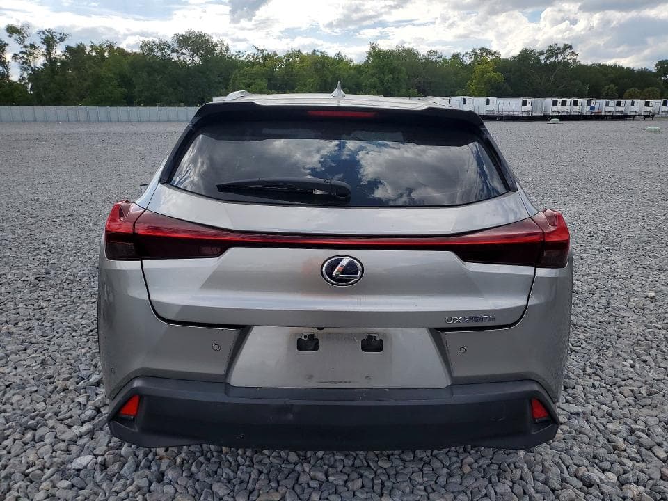 2019 LEXUS UX 250H 6