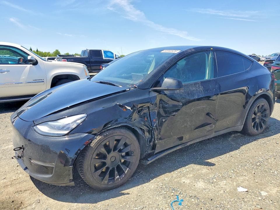 2021 TESLA MODEL Y - 1
