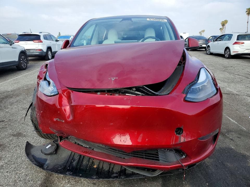 2024 TESLA MODEL Y 5