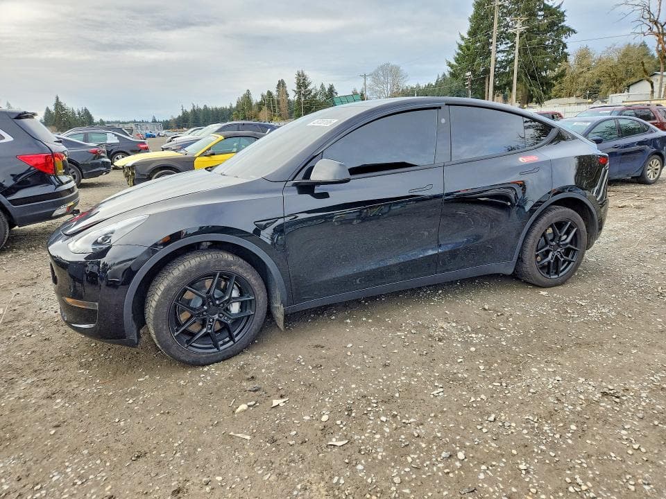 2024 TESLA MODEL Y - 1