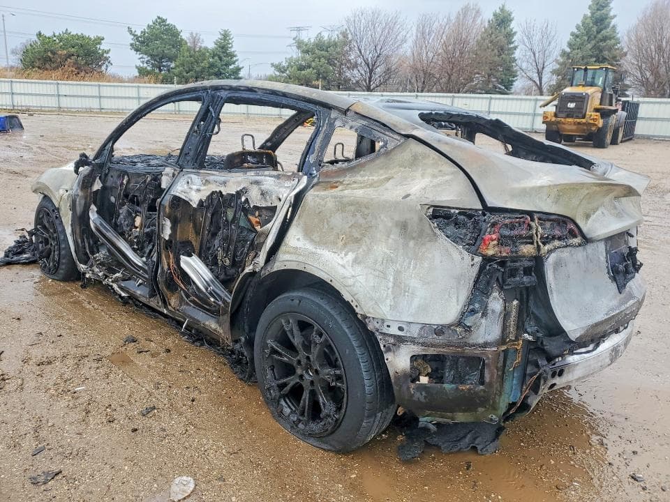 2024 TESLA MODEL Y 2