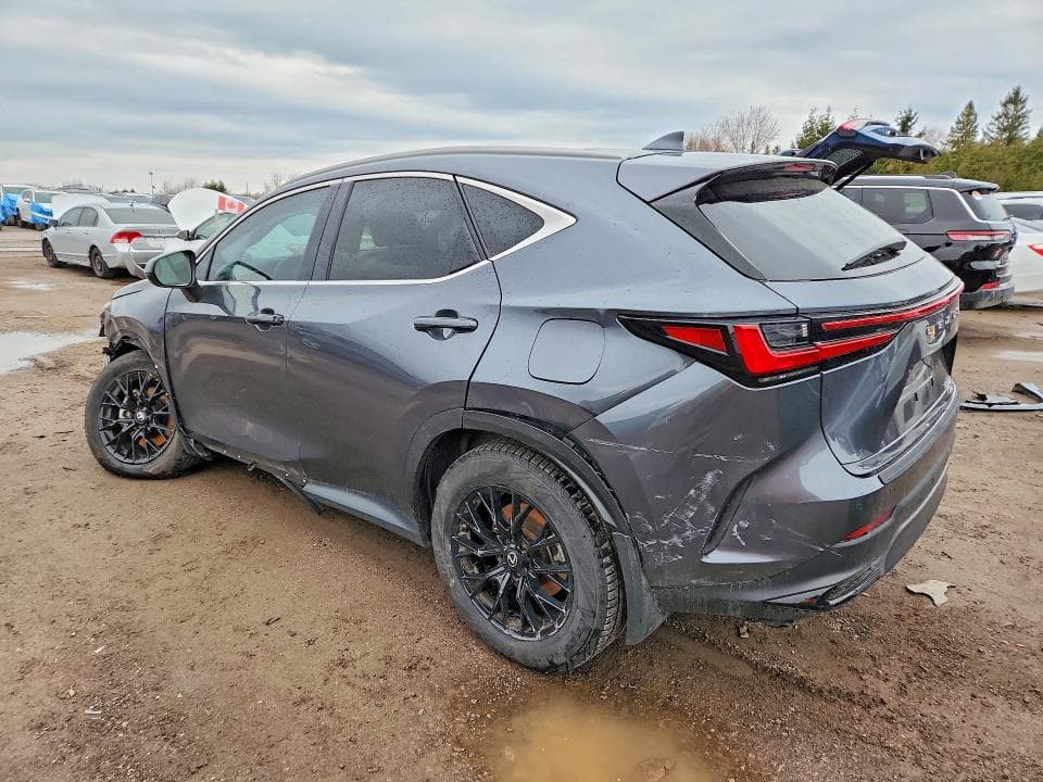 2025 LEXUS NX 350H PREMIUM 3