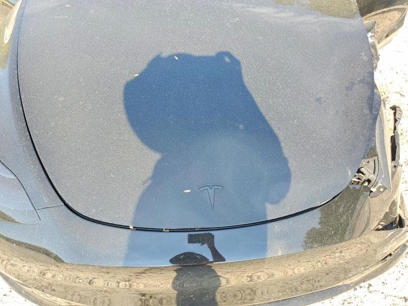 2023 TESLA MODEL Y 12