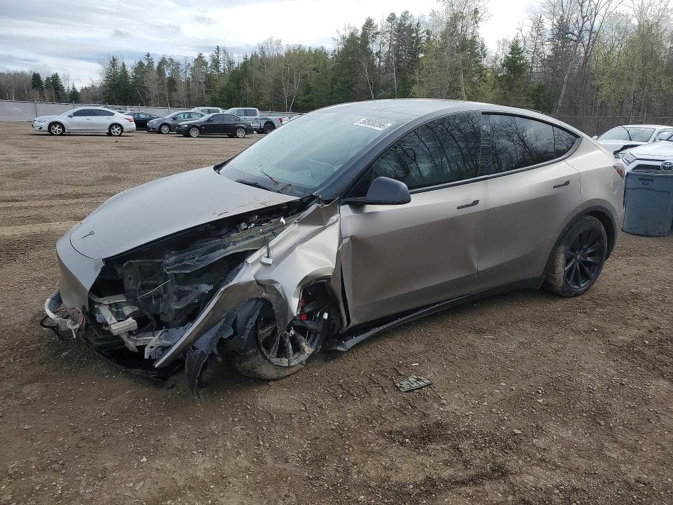 2022 TESLA MODEL Y - 1