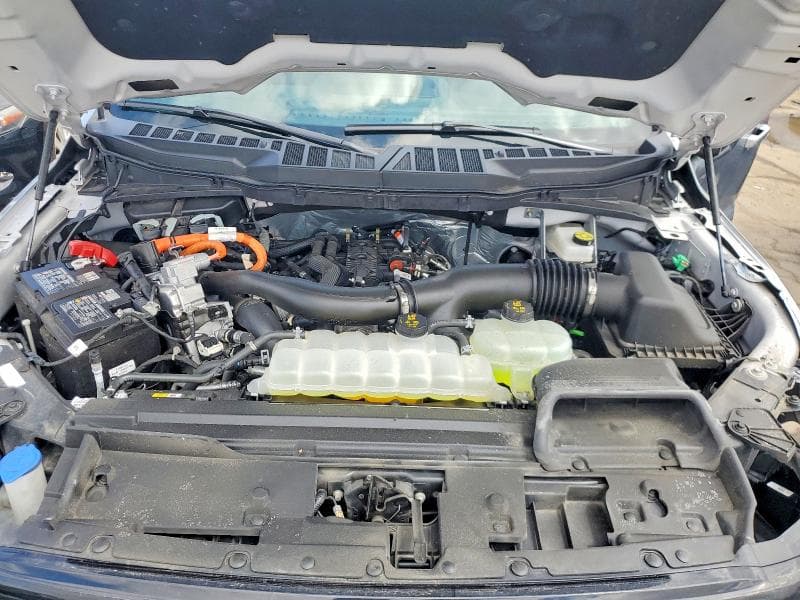 2025 FORD F150 XLT 11