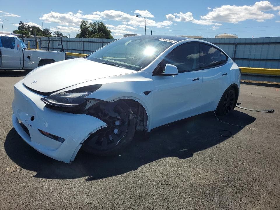 2023 TESLA MODEL Y - 1