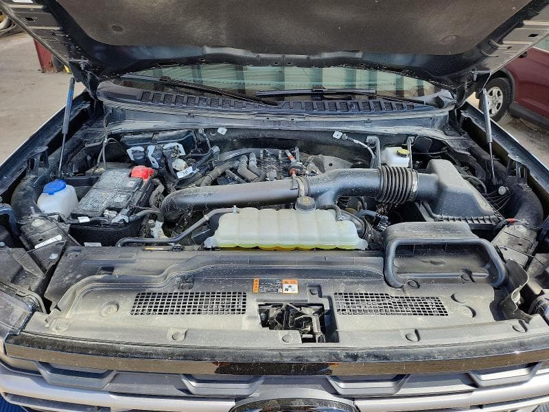 2025 FORD EXPEDITION TREMOR 12
