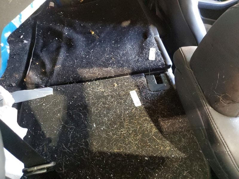 2026 TESLA MODEL 3 10