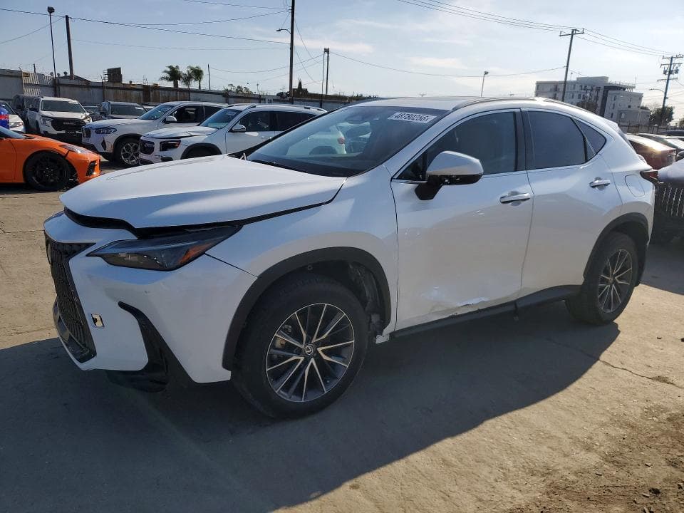 2024 LEXUS NX 250 BASE - 1