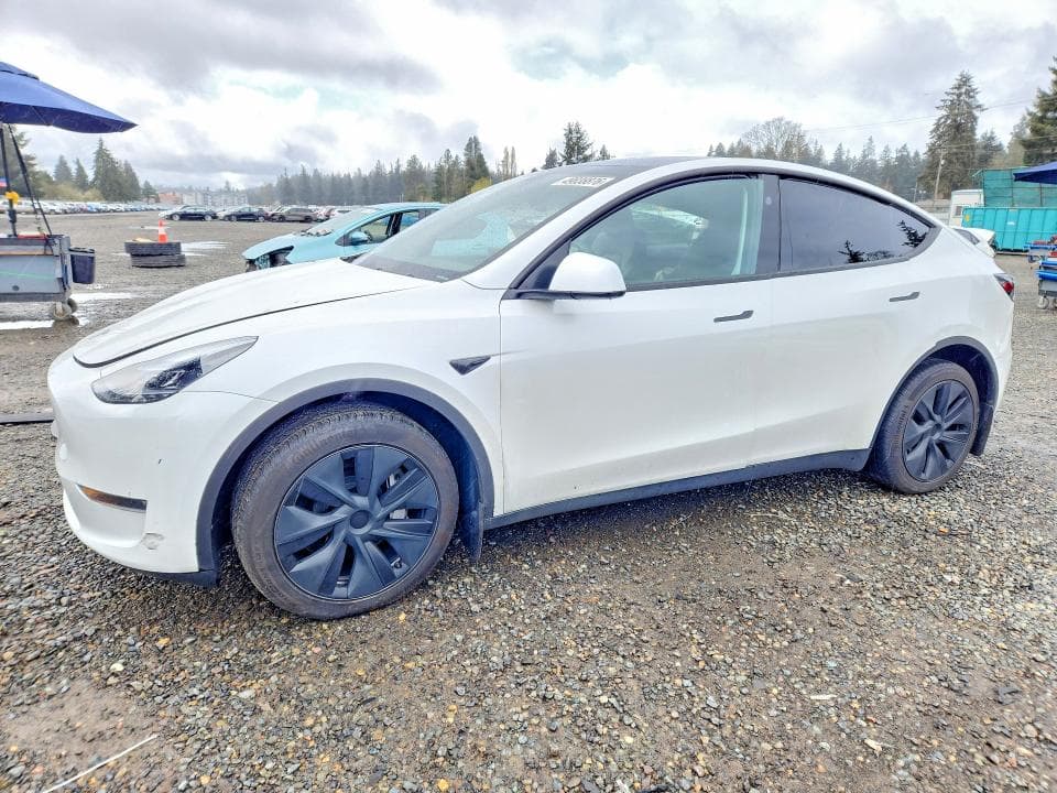2024 TESLA MODEL Y - 1