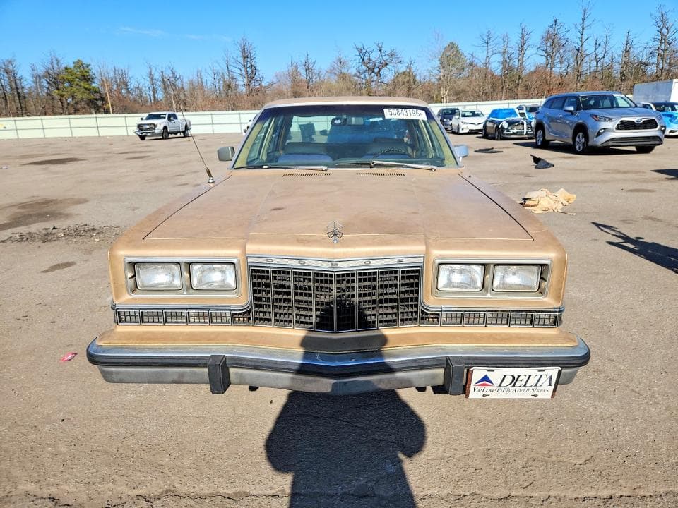 1983 DODGE DIPLOMAT 5