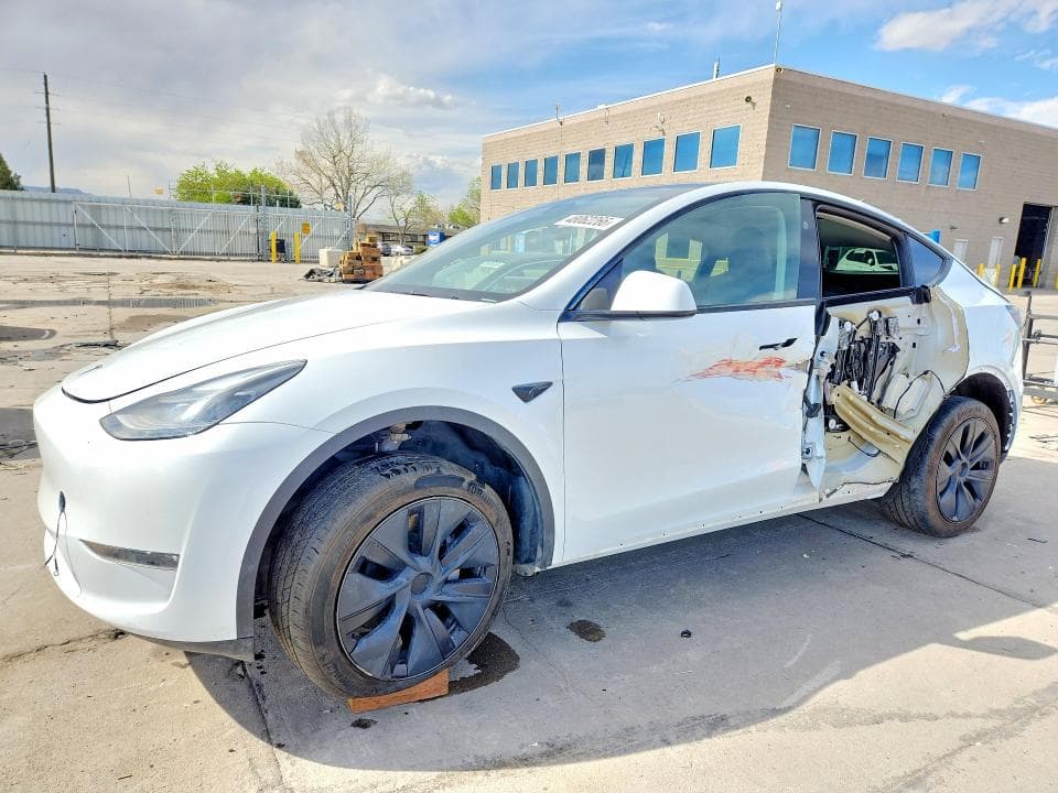 2024 TESLA MODEL Y 2