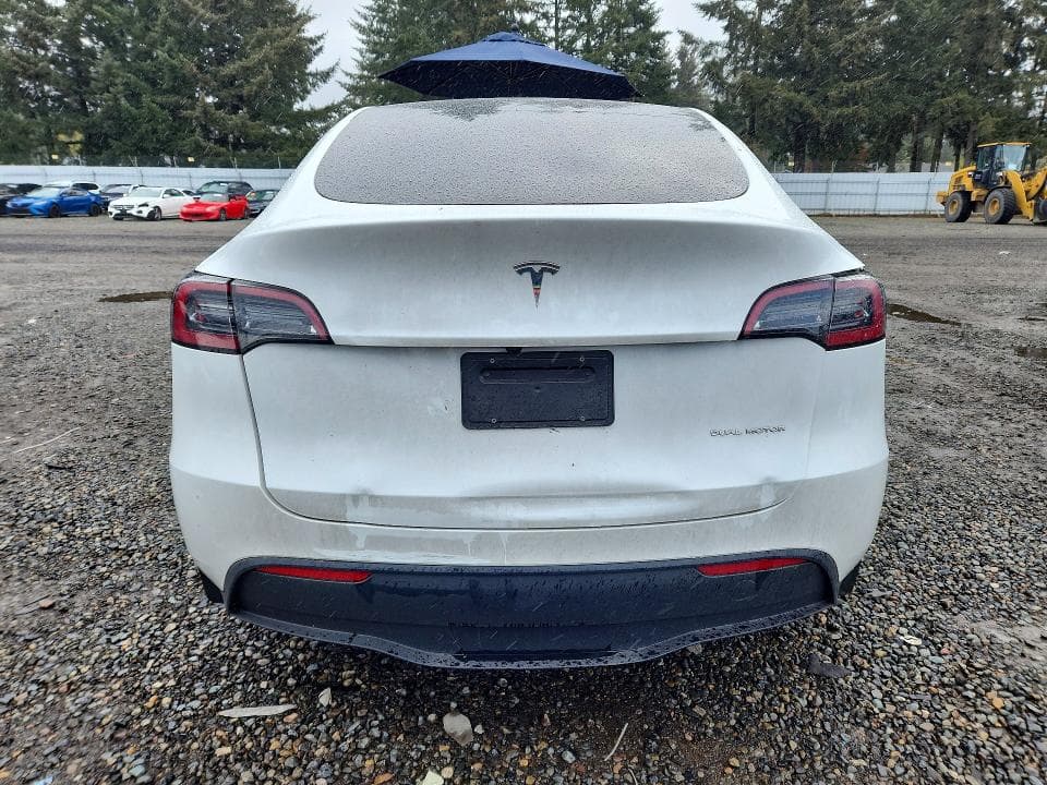 2024 TESLA MODEL Y 6
