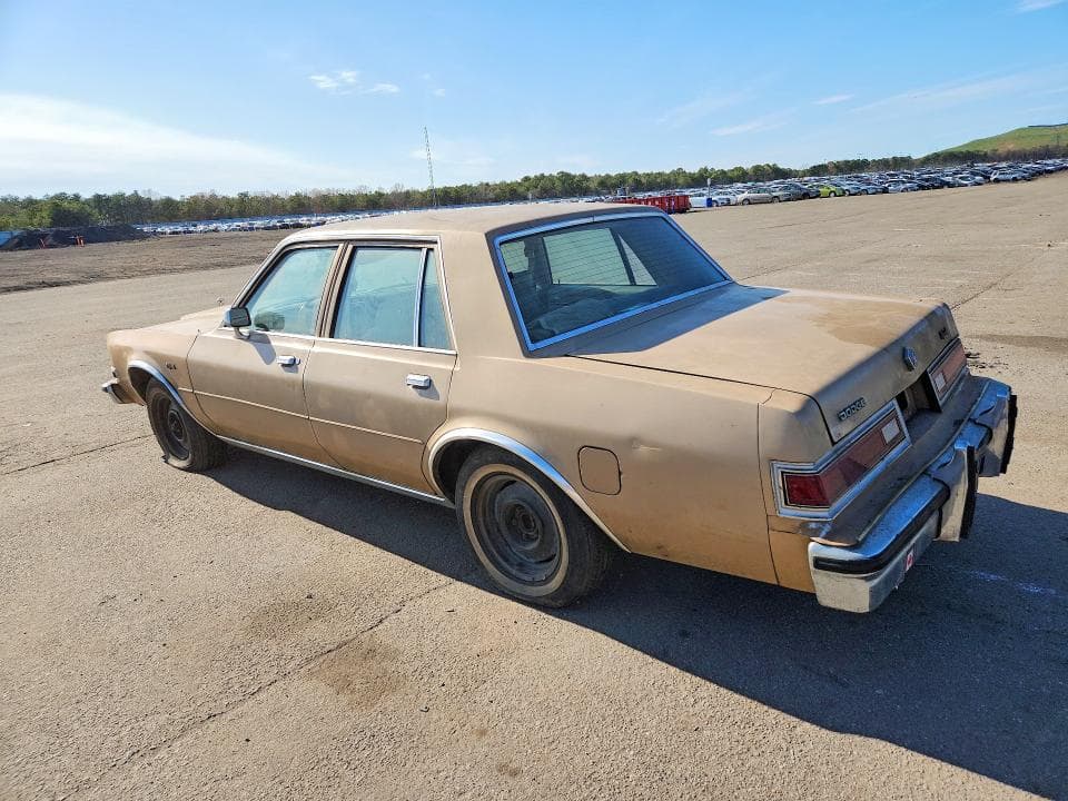 1983 DODGE DIPLOMAT 2