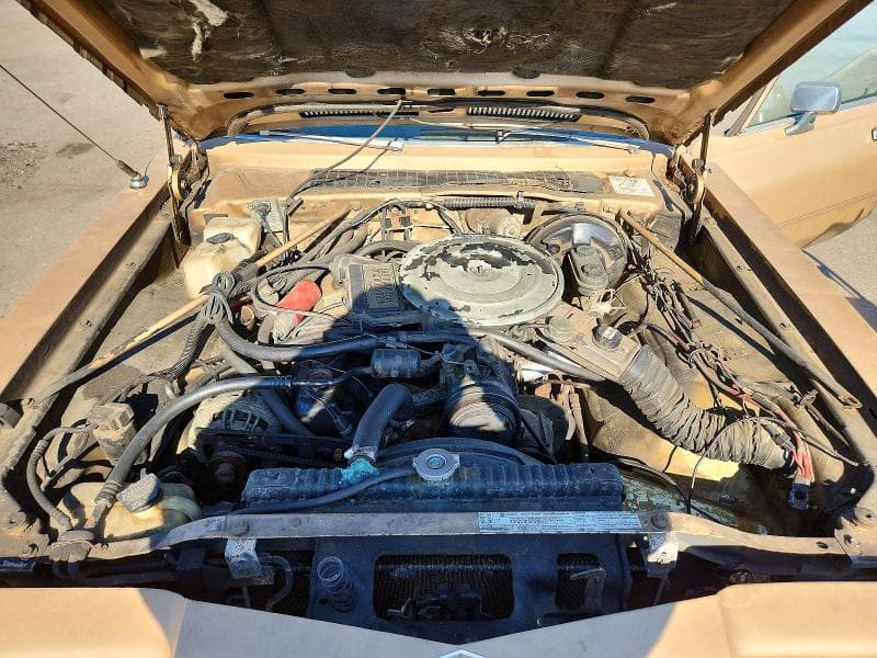 1983 DODGE DIPLOMAT 11