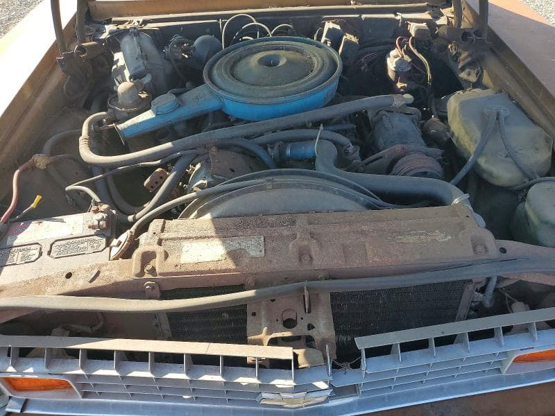1974 CHEVROLET NOVA 11