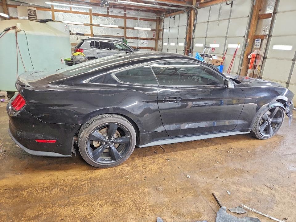 2021 FORD MUSTANG 3