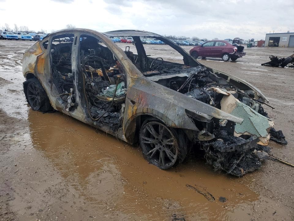 2024 TESLA MODEL Y 4
