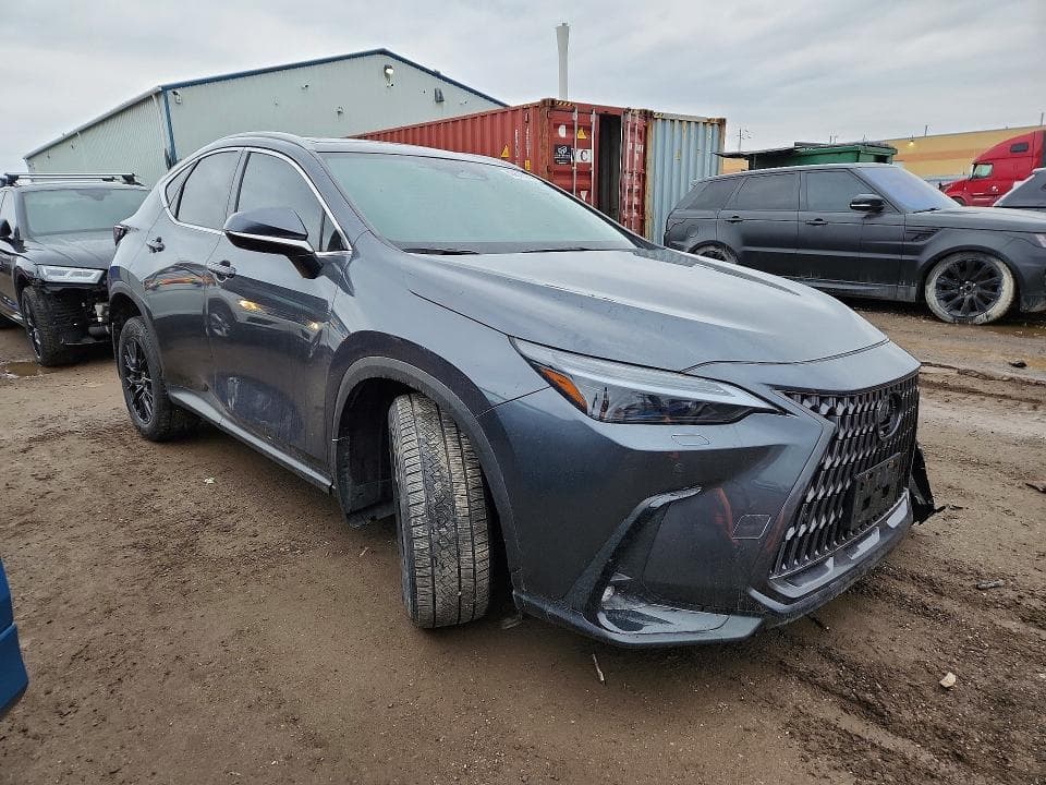 2025 LEXUS NX 350H PREMIUM 7