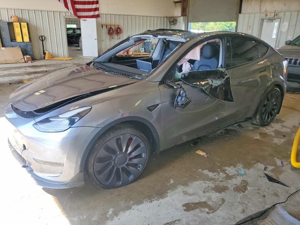 2025 TESLA MODEL Y - 1