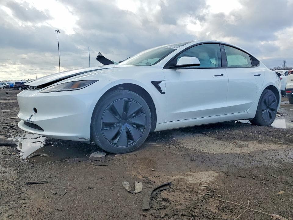 2025 TESLA MODEL 3 - 1