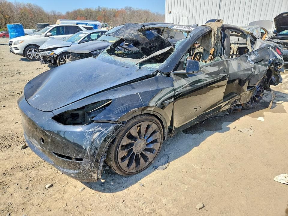 2023 TESLA MODEL Y - 1