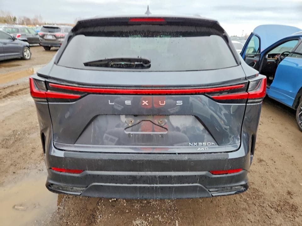 2025 LEXUS NX 350H PREMIUM 12
