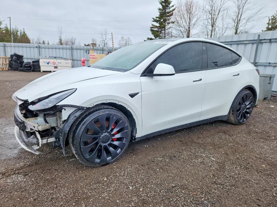 2022 TESLA MODEL Y - 1