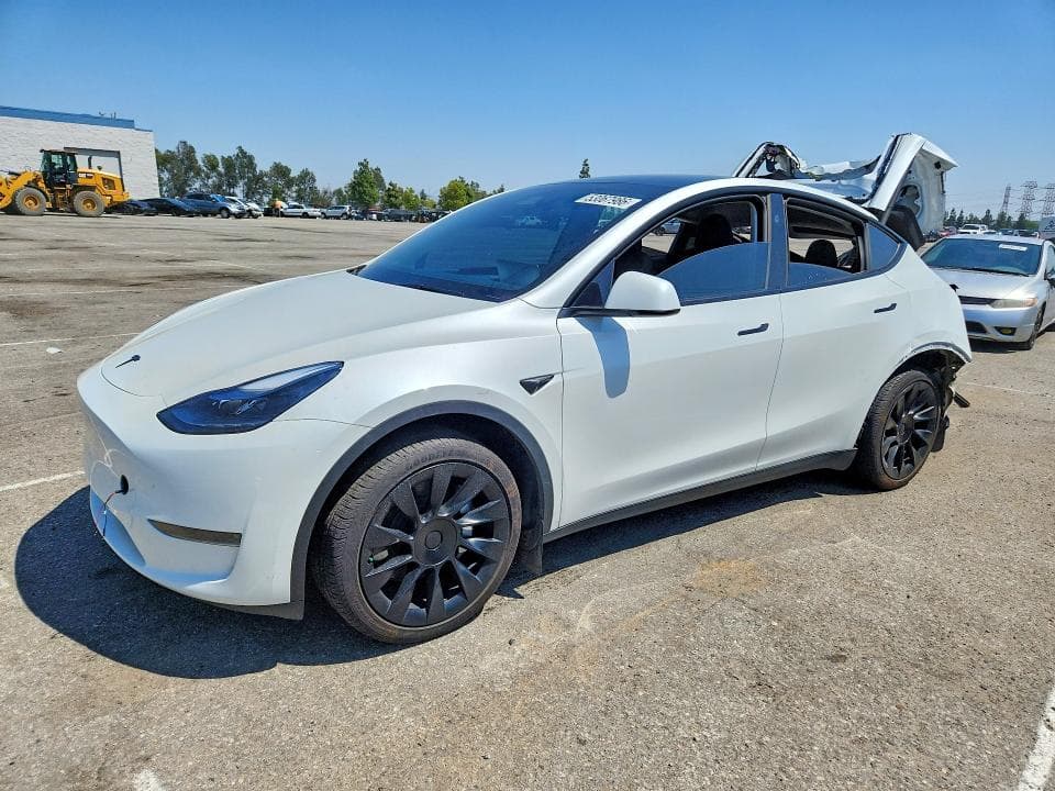 2024 TESLA MODEL Y - 1