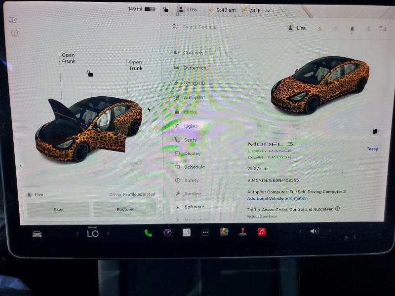 2022 TESLA MODEL 3 9