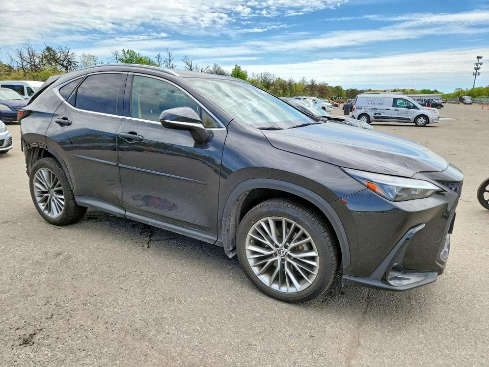 2022 LEXUS NX 350H 4