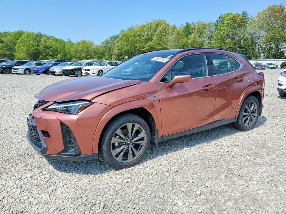 2025 LEXUS - 1